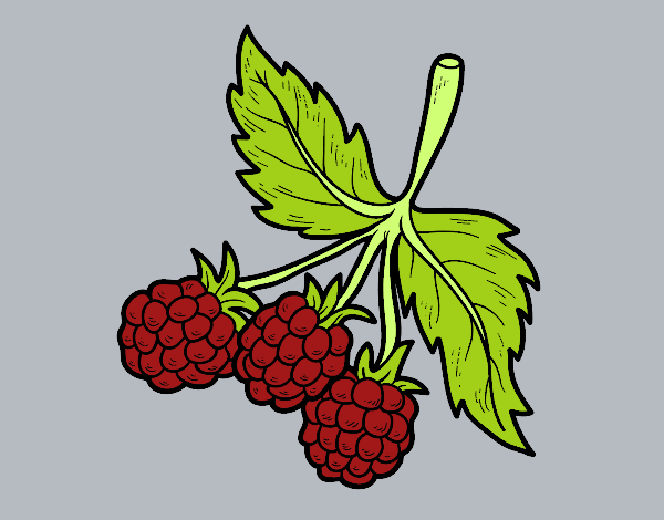 Coloring page Branch of raspberries painted byAnia