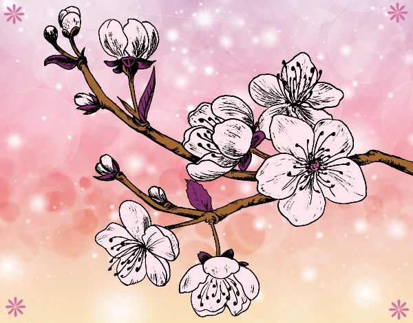 Coloring page Cherry-tree branch painted byJijicream