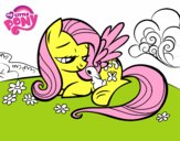 Fluttershy with a little rabbit
