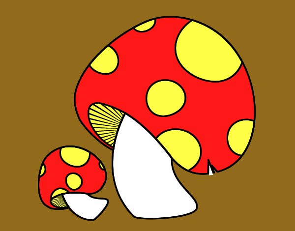 Coloring page Red pine mushroom painted byLexi882