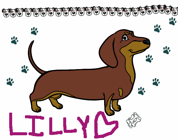 Coloring page Dachshund dog painted byCloeisnice