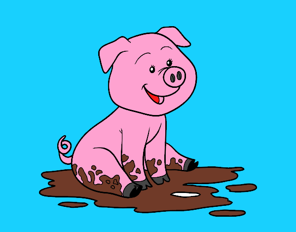 Pig in mud