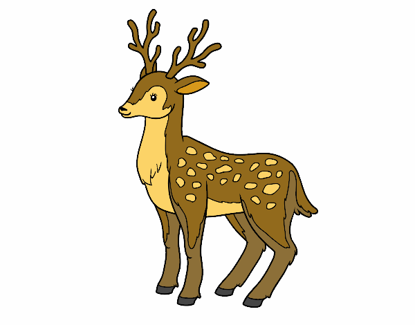 Coloring page A young deer painted byMercedes