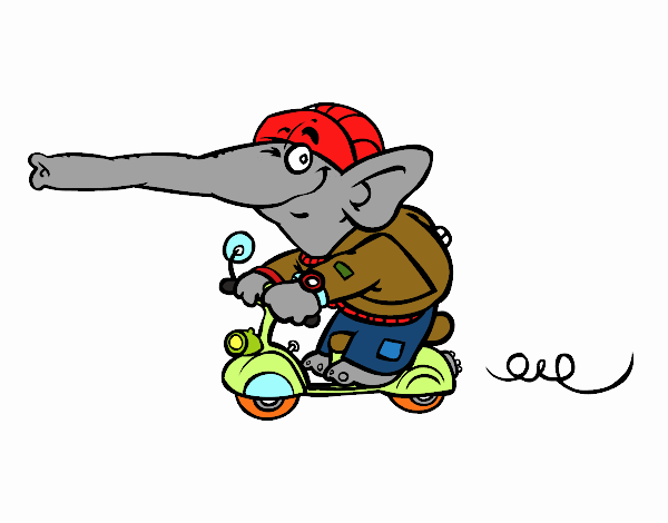 Coloring page Elephant on motorbike painted byminh