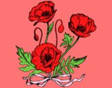 Coloring page Some poppies painted byantz