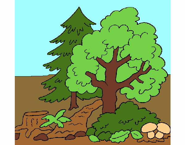 Coloring page Forest painted byAnia