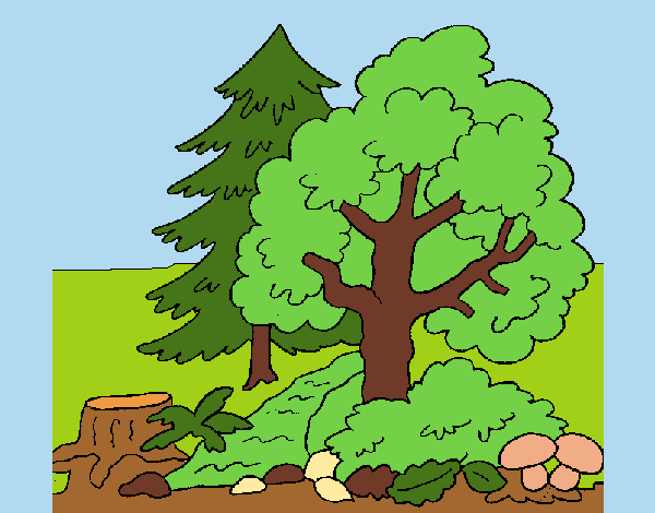 Coloring page Forest painted bypinkrose