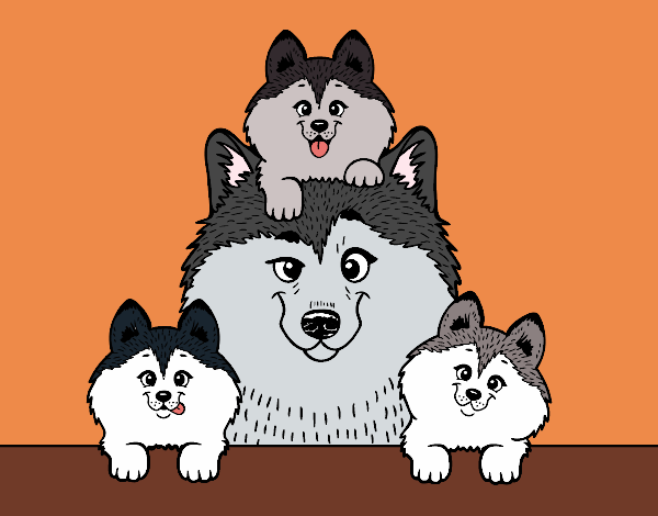 Coloring page Husky family painted bypinkrose