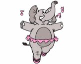 Elephant wearing tutu