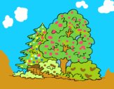 Coloring page Forest painted byALAN