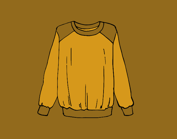 Light sweatshirt