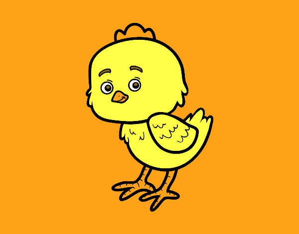 The Little Chick Cheep