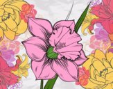 Coloring page Narcissus flower painted byAlexi