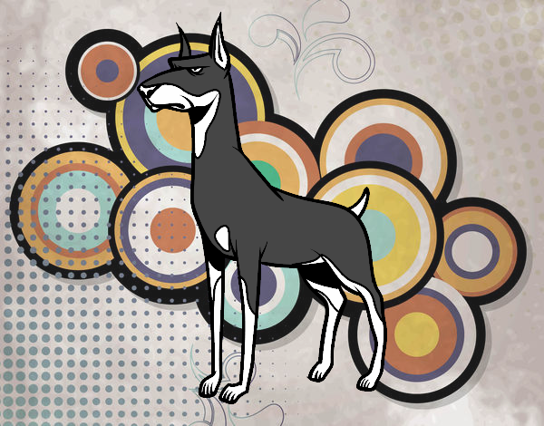 Coloring page Doberman dog painted byDANO   