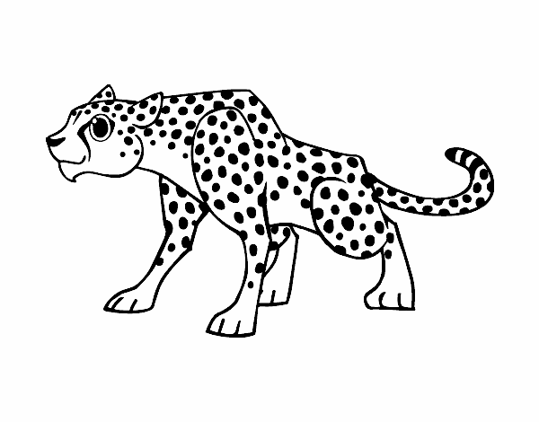 Coloring page A Cheetah painted bySassy