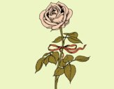 Coloring page A rose painted byLoLamb