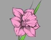 Coloring page Narcissus flower painted byAnia