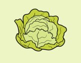 Coloring page Organic cabbage painted byAnia