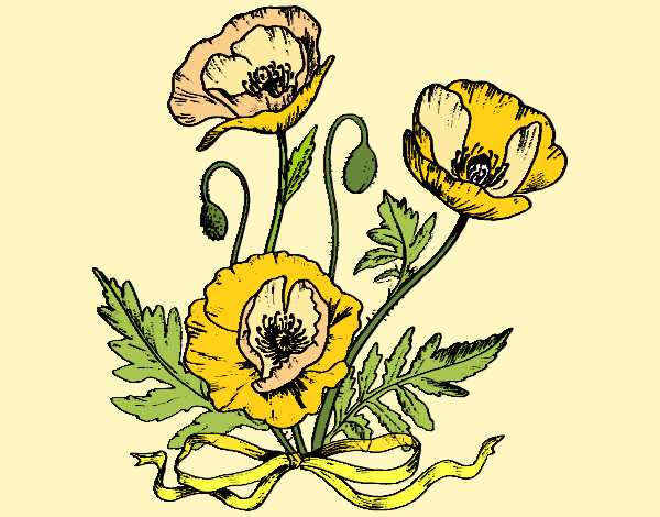 Coloring page Some poppies painted byLoLamb
