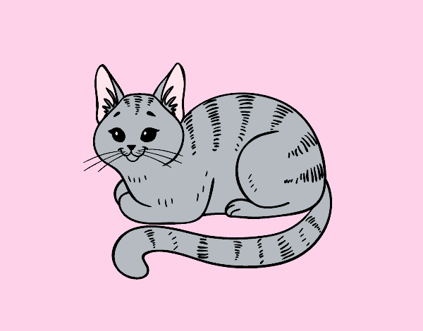 Coloring page Young cat painted byAnia