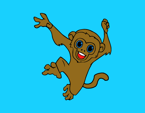 Coloring page Baby capuchin monkey painted byKylee 