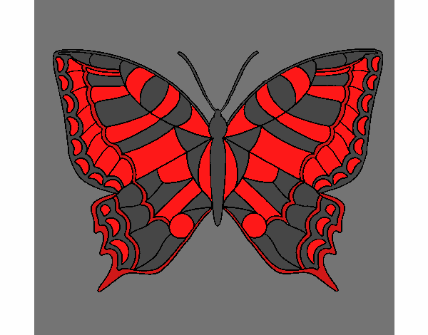 Coloring page Butterfly 16 painted byLeigh