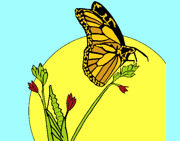 Coloring page Butterfly on branch painted byLeigh
