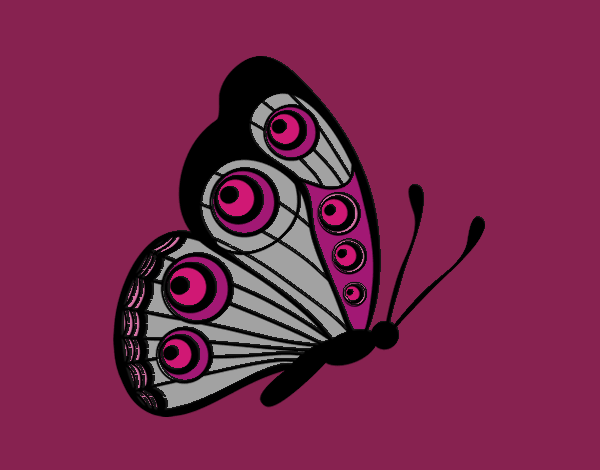 Coloring page Butterfly right painted byLeigh
