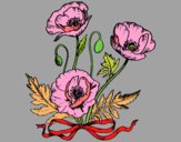 Coloring page Some poppies painted bySunflower