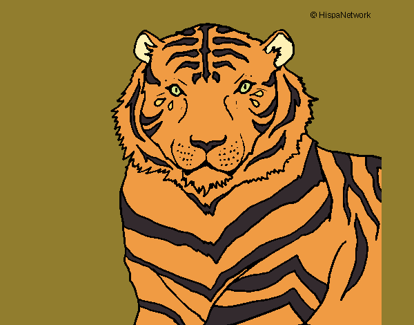 Coloring page Tiger painted byLeigh