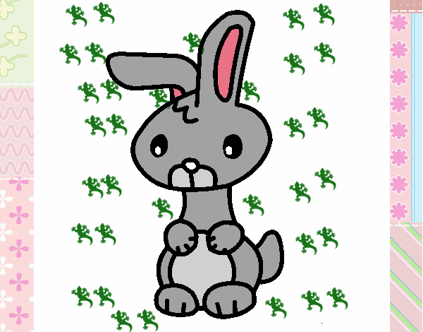 Art the rabbit
