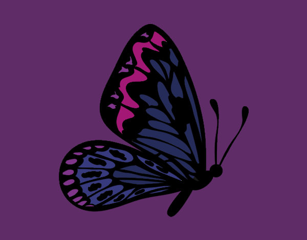 Coloring page Butterfly with normal wings painted byCarapherne