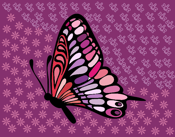Coloring page Left butterfly painted bypilgrimzky