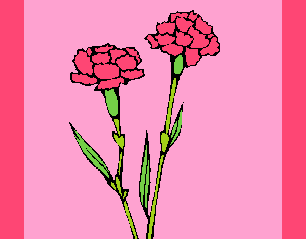 Coloring page Carnations painted byAnia