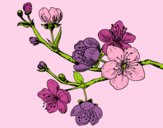 Coloring page Cherry-tree branch painted byAnia