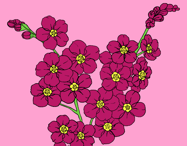 Coloring page Cherry tree flower painted byAnia