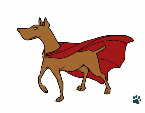 Dog superhero