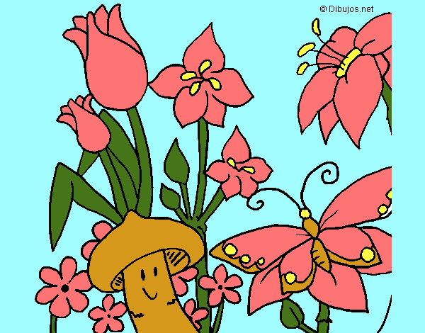 Coloring page Fauna and Flora painted byCherokeeGl