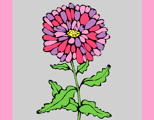 Coloring page Flower 3a painted byAnia
