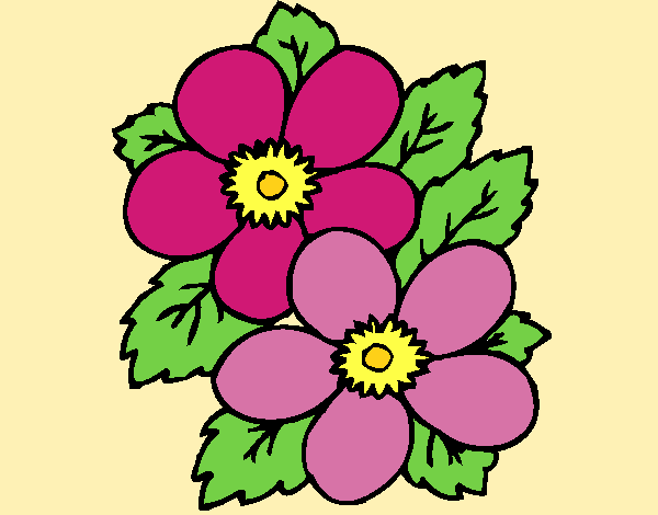 Coloring page Flowers 1 painted byAnia