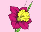 Coloring page Narcissus flower painted byAnia