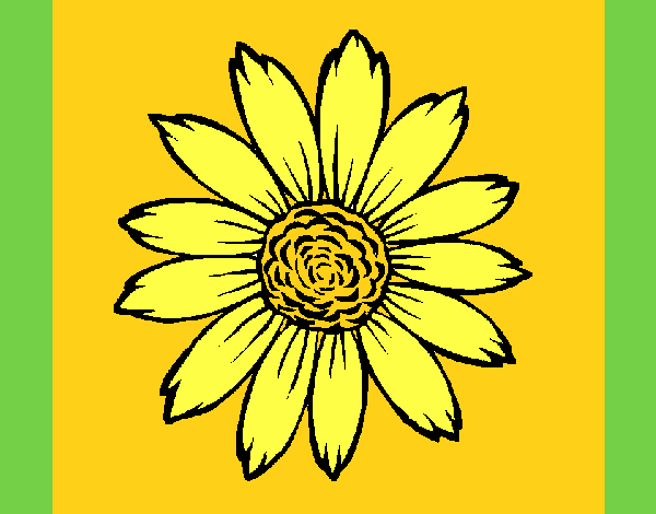Coloring page Sunflower painted byAnia