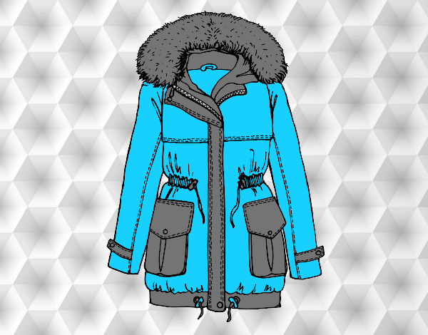 Winter coat