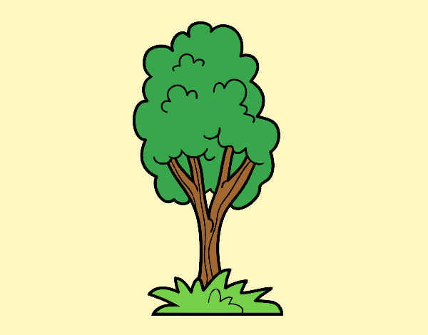 Coloring page A park tree painted byAnia