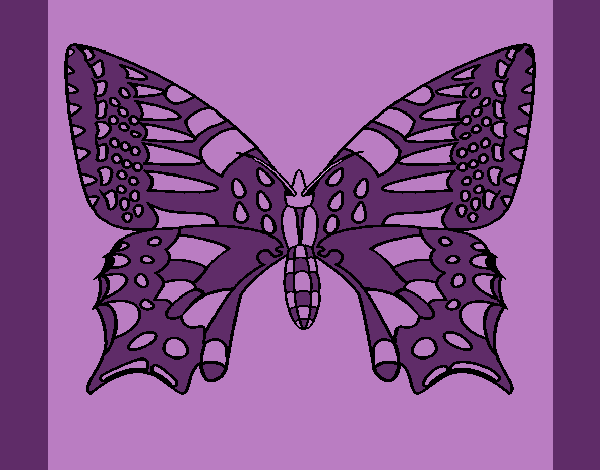 Coloring page Butterfly 5 painted byCherokeeGl