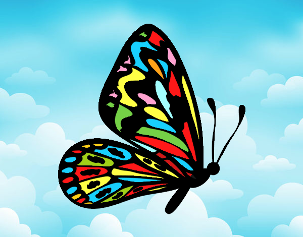 Butterfly with normal wings