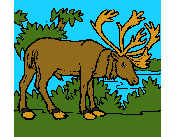 Coloring page Elk painted byCherokeeGl