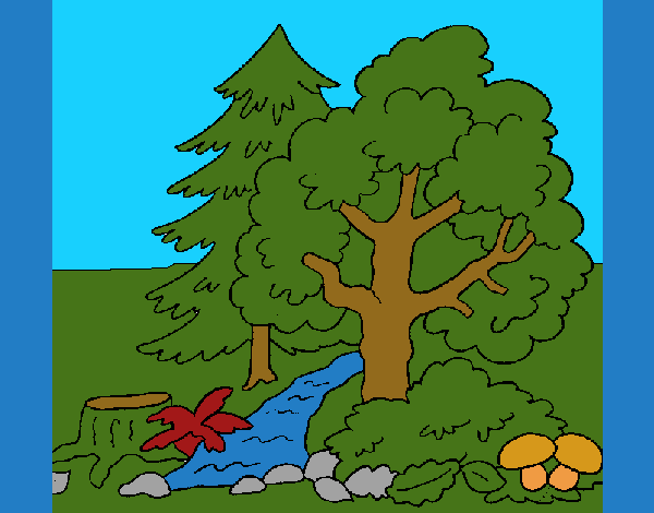 Coloring page Forest painted byCherokeeGl