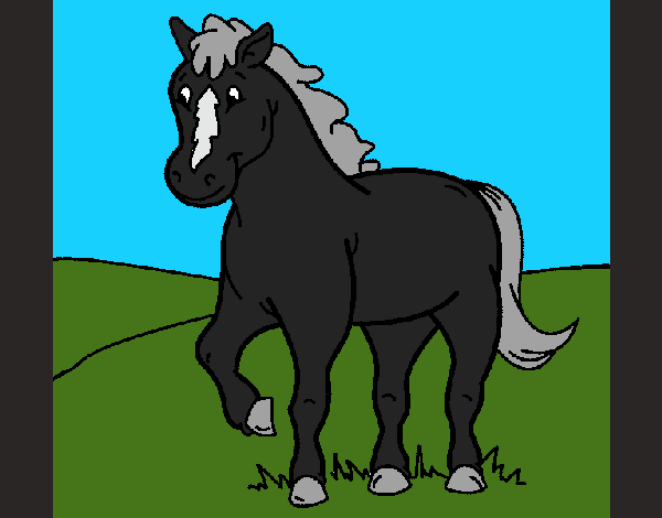 Coloring page Horse 4 painted byCherokeeGl