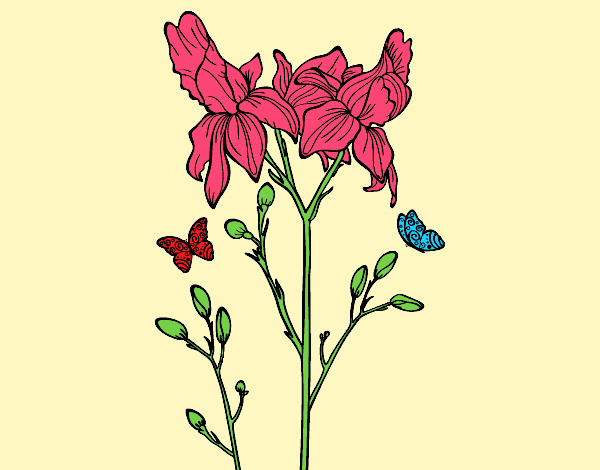 Coloring page Iris flower painted byAnia